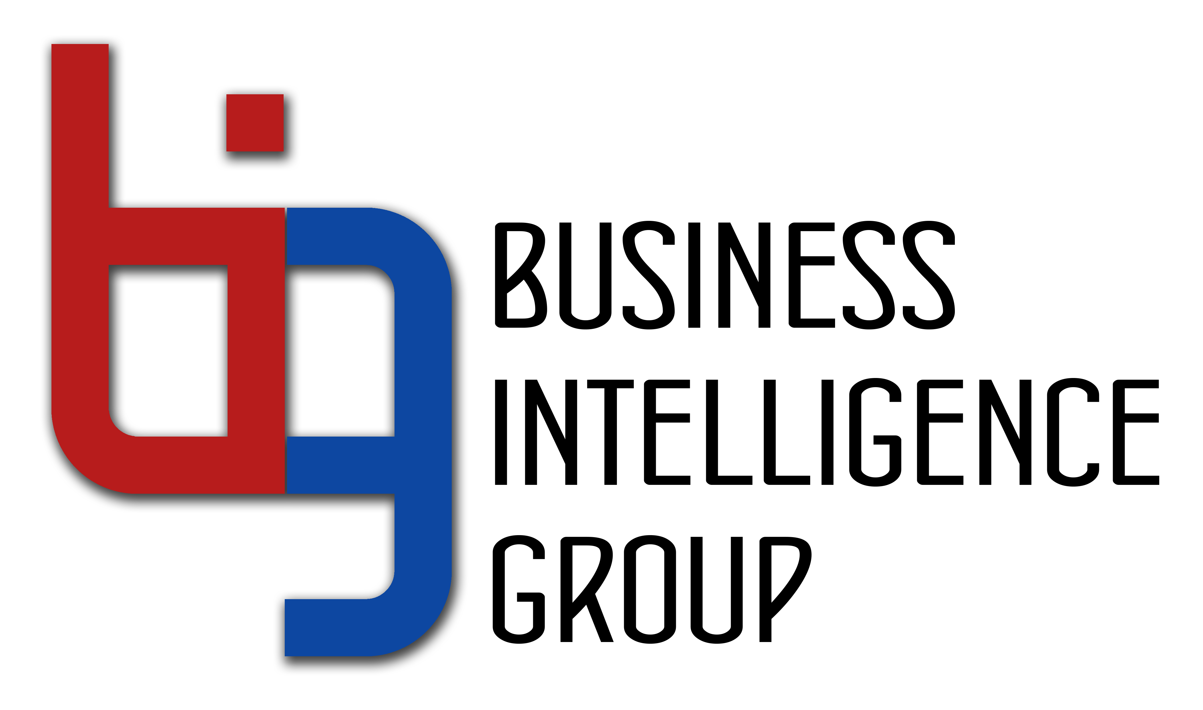 The Business Intelligence Group logo